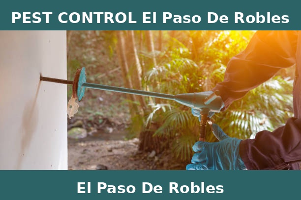 PEST CONTROL El Paso De Robles